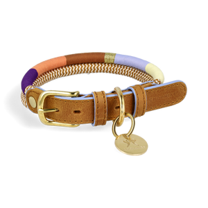 verstellbares Halsband Summer – STORY OF MINE for dogs & friends